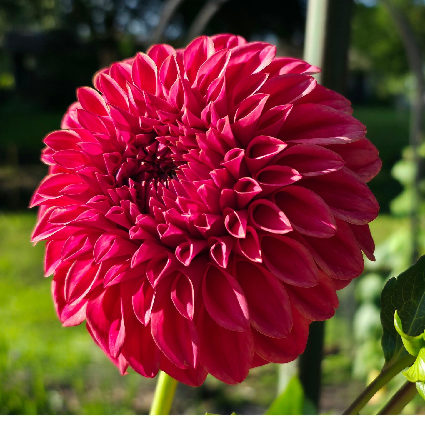 Sylvia Craig Hunter